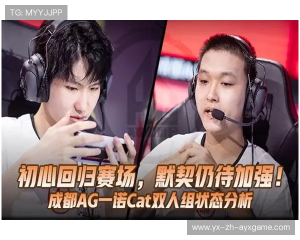 AG新辅助表现亮眼团队沟通更顺畅,ag辅助cat