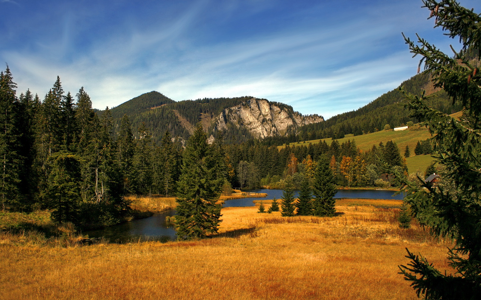 “腰旗式美式橄榄球:东部新区赛场首次亮相”