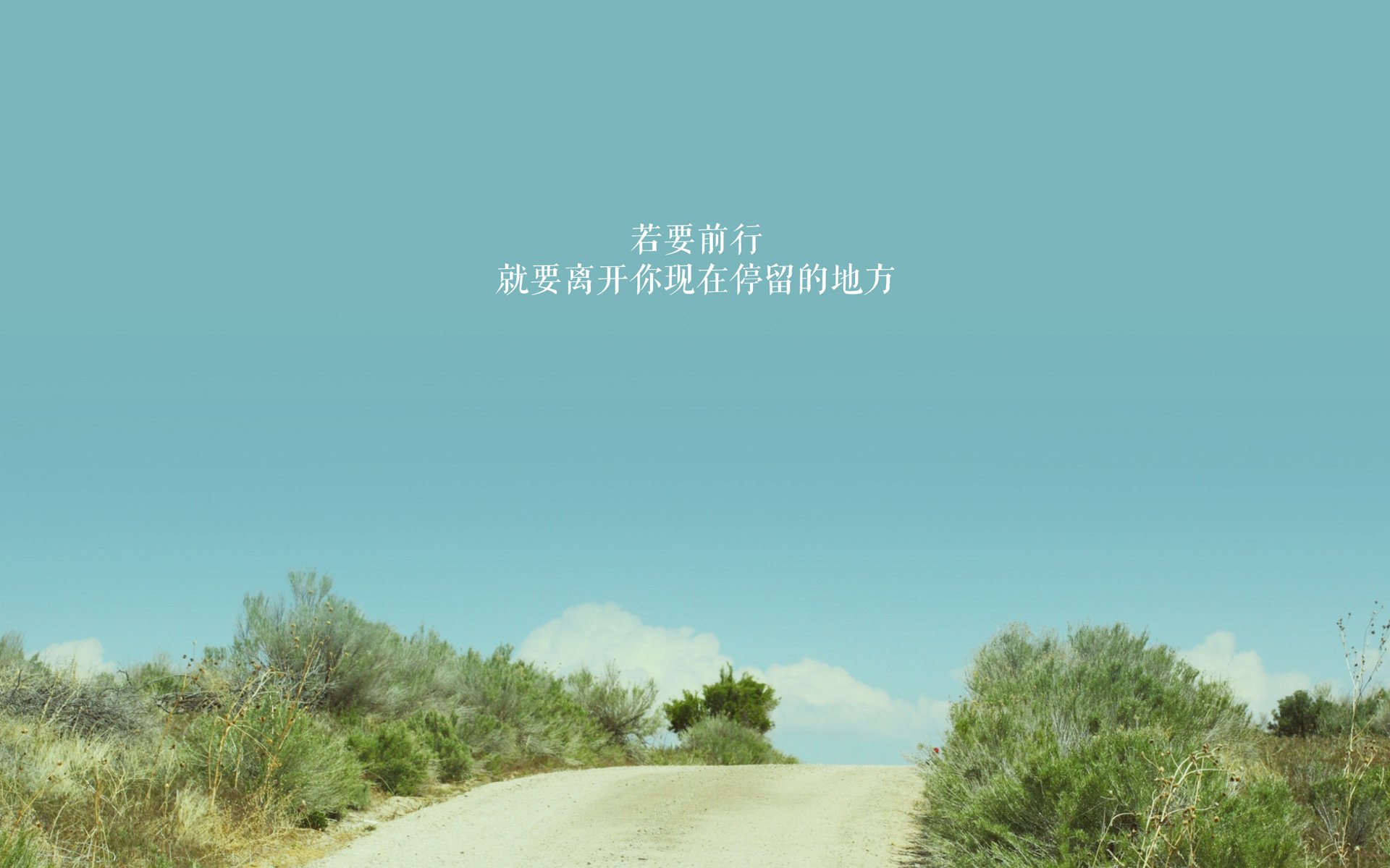 乒乓球新格局:2024混合团体世界杯赛制大解析,乒乓球团体世锦赛2020