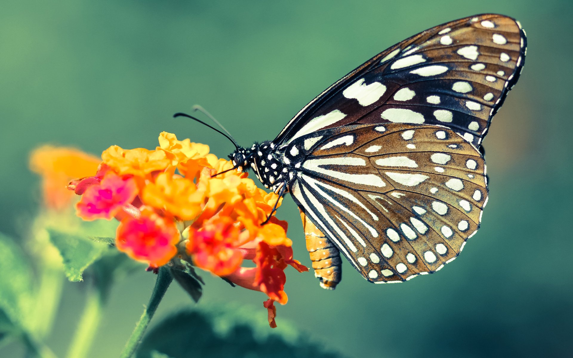 爱游戏体育APP下载-亚冠赛场再现经典逆转局面，2021亚冠比赛规则