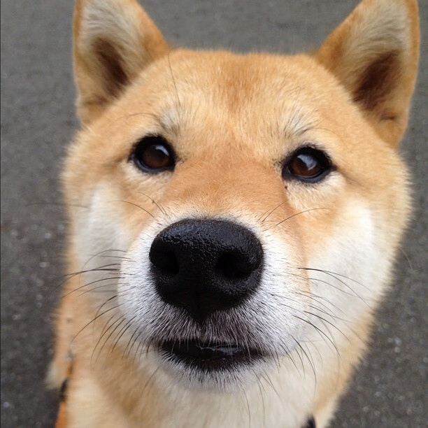 体育新闻中心深化智能赛事分析技术应用,智能体育大会