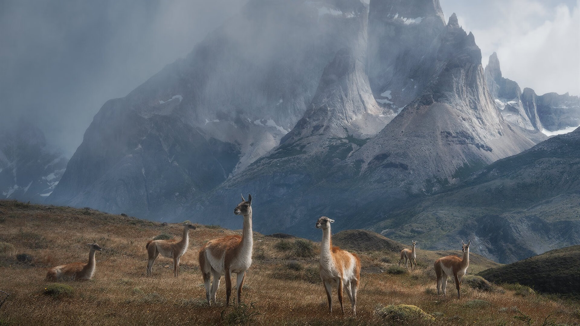 博塔弗戈长传渗透受阻,效果欠佳,博塔弗戈vs累体育