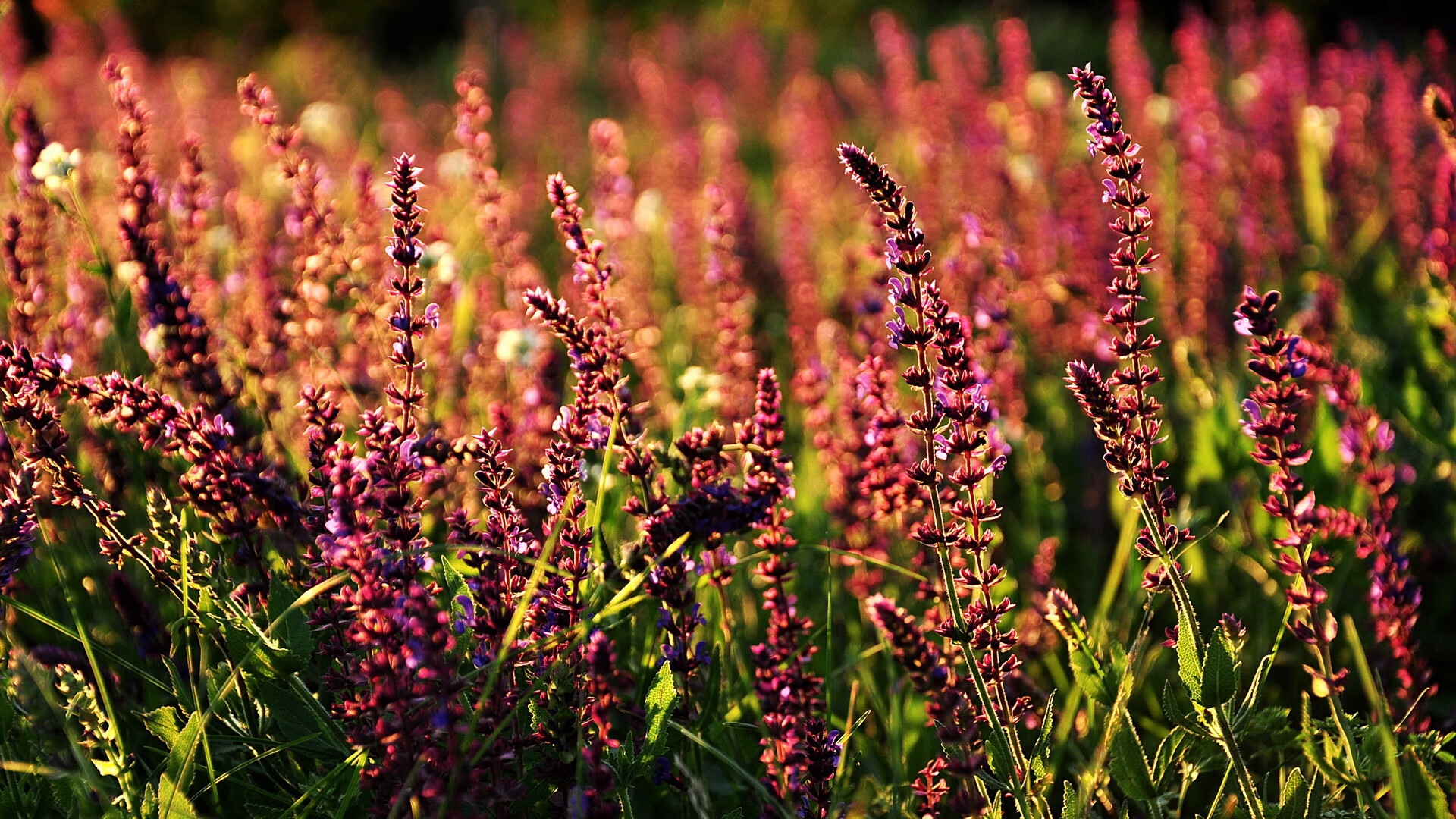 爱游戏app下载-国际篮球规则变化对中国球队有何影响，2021年国际篮球规则