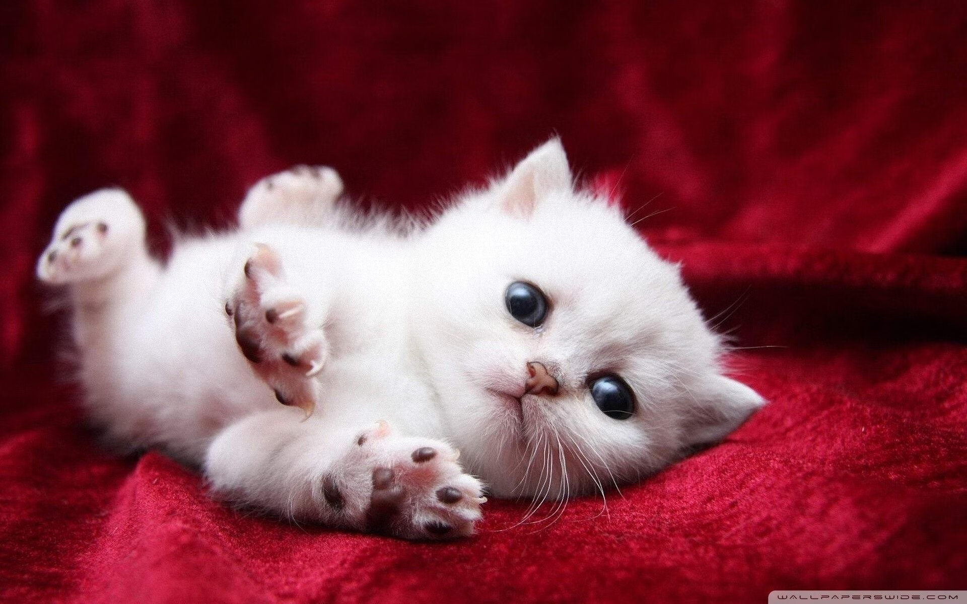 湖光倒影下，2025年赛事完美落幕，2020赛事活动