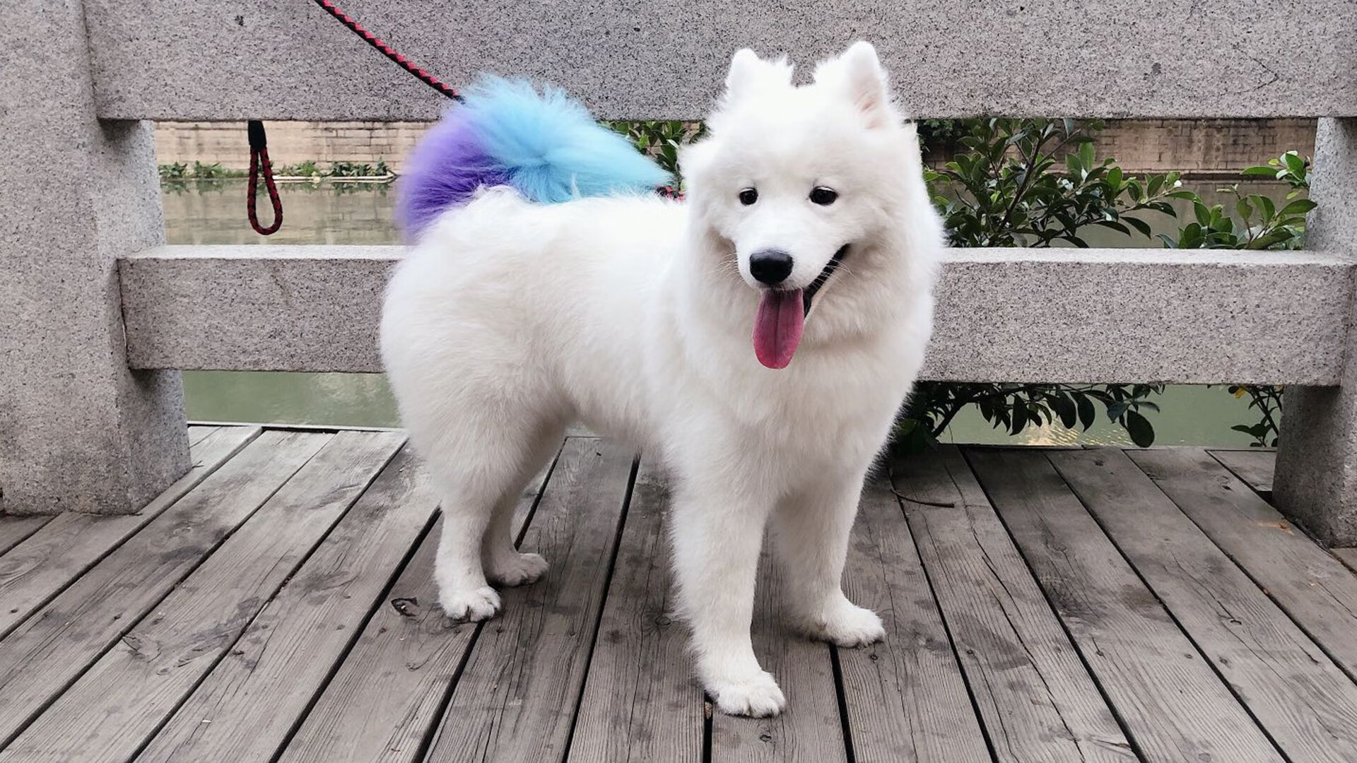 CBA推动队史文化展传播联赛精神内涵,cba传播策略