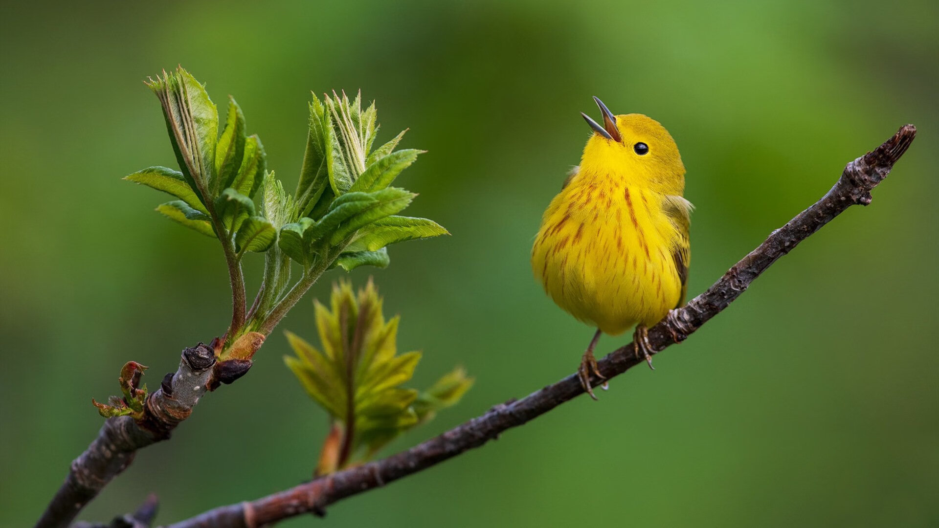 爱游戏中国官方登录入口网站-世界杯赛场医护支持体系揭秘，世界卫生组织医护比