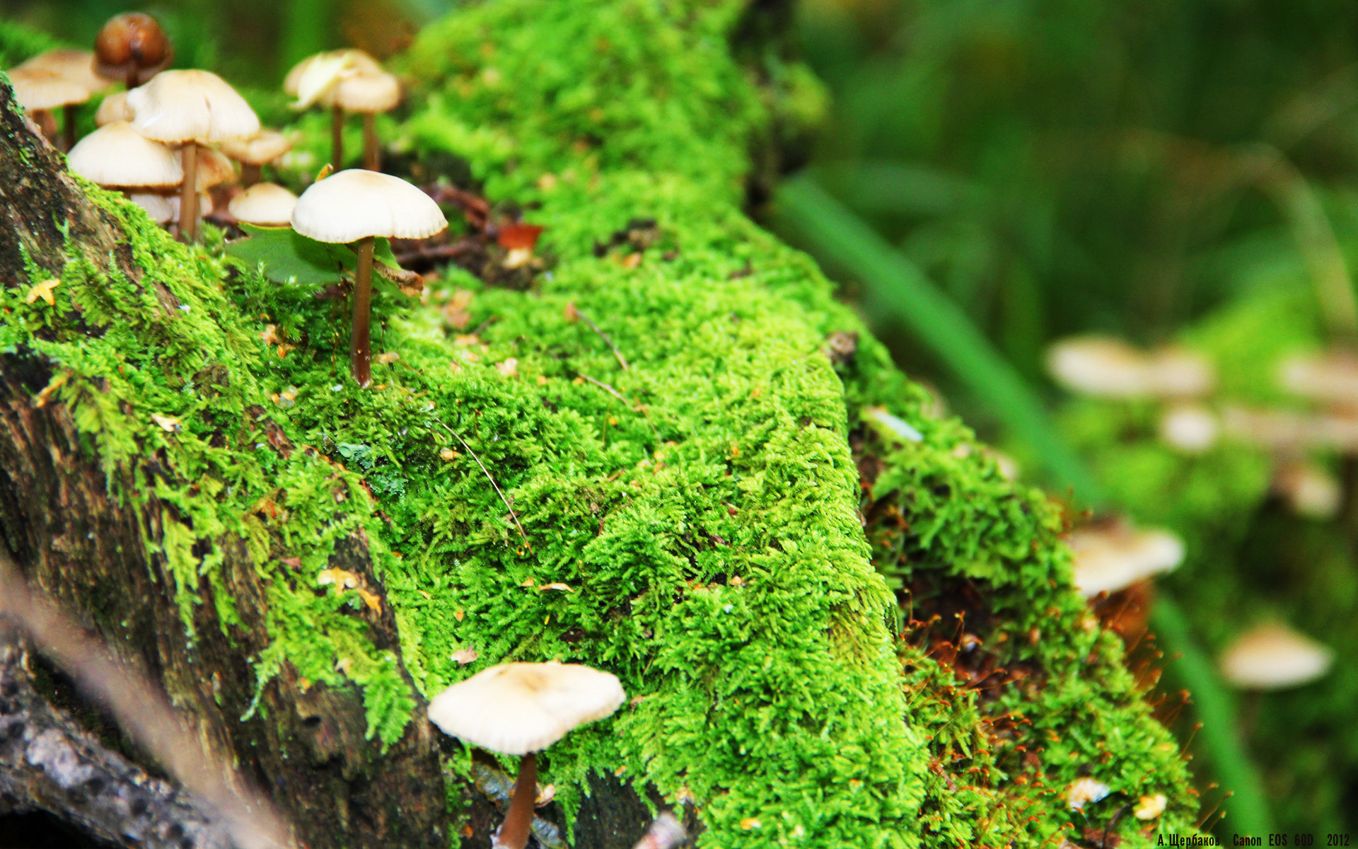 中国足球青少年训练体系推动认知决策课程,中国青少年足球发展路径选择