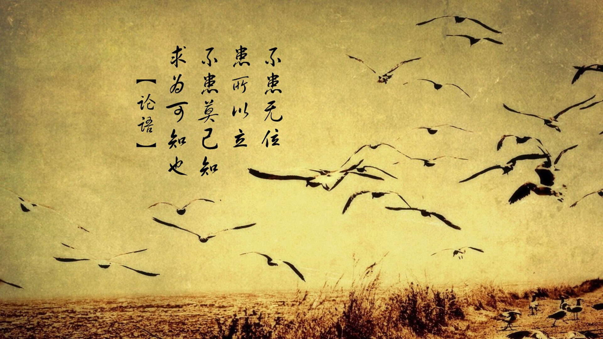 爱游戏体育（AYX）官方APP下载-中超青年队联赛开打为后备人才提供实战平台，中超青年队参加亚冠