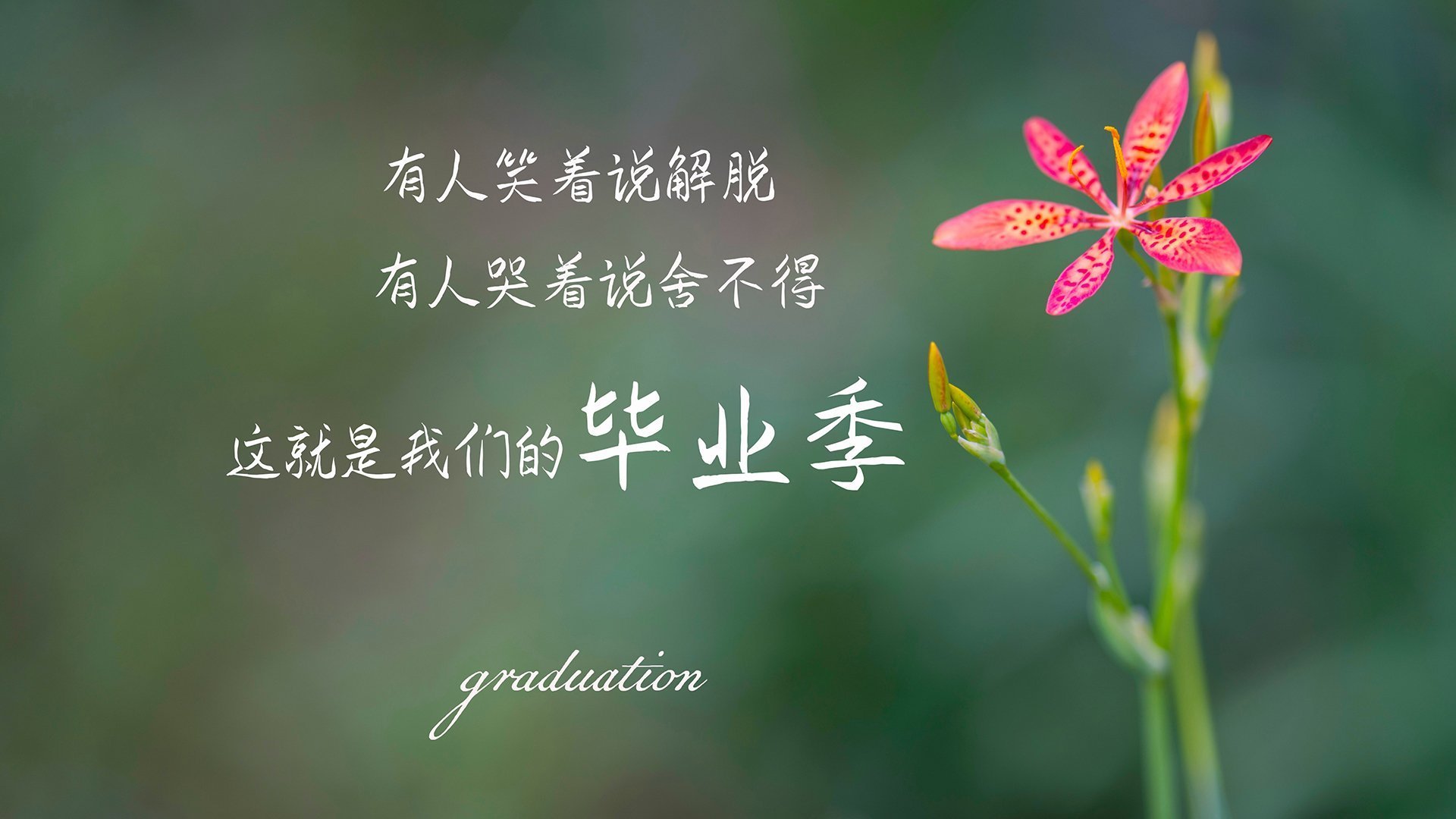 中超青年队联赛开打为后备人才提供实战平台,中超青年队参加亚冠