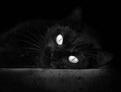 爱游戏平台-体育新闻中心发布新周期国家队后备人才选拔机制方案，国家队培养