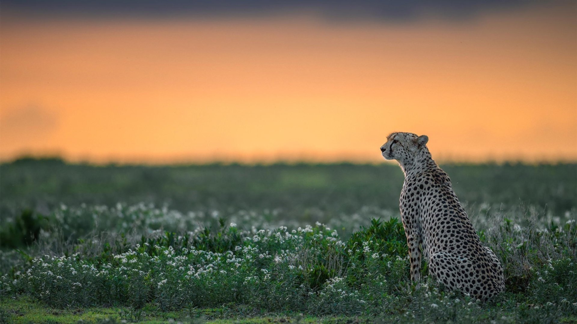 女篮国家队开展防守协作专项训练强化防守体系,女生篮球防守技巧