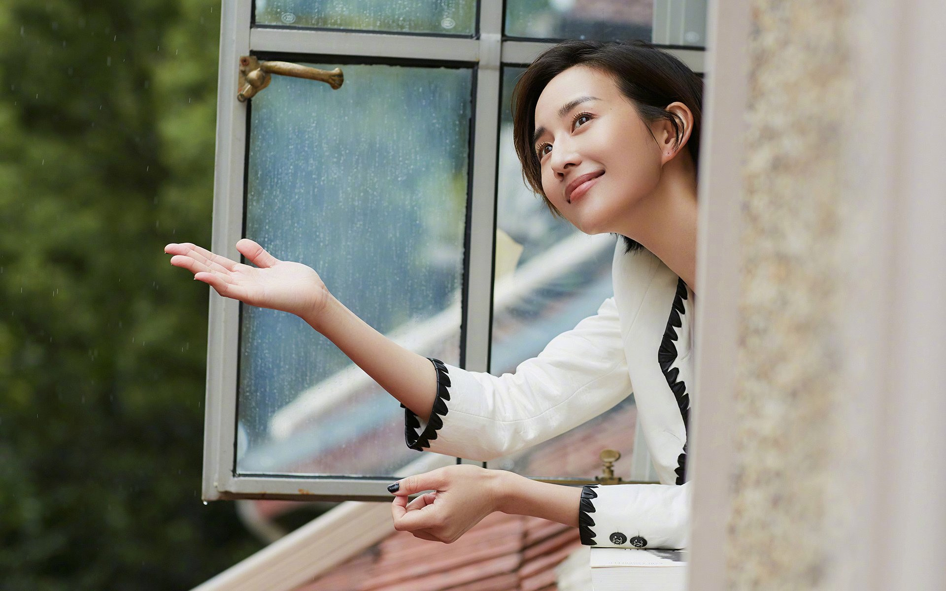 本土新秀首秀惊艳,媒体封其为明日之星,明日之星创始人