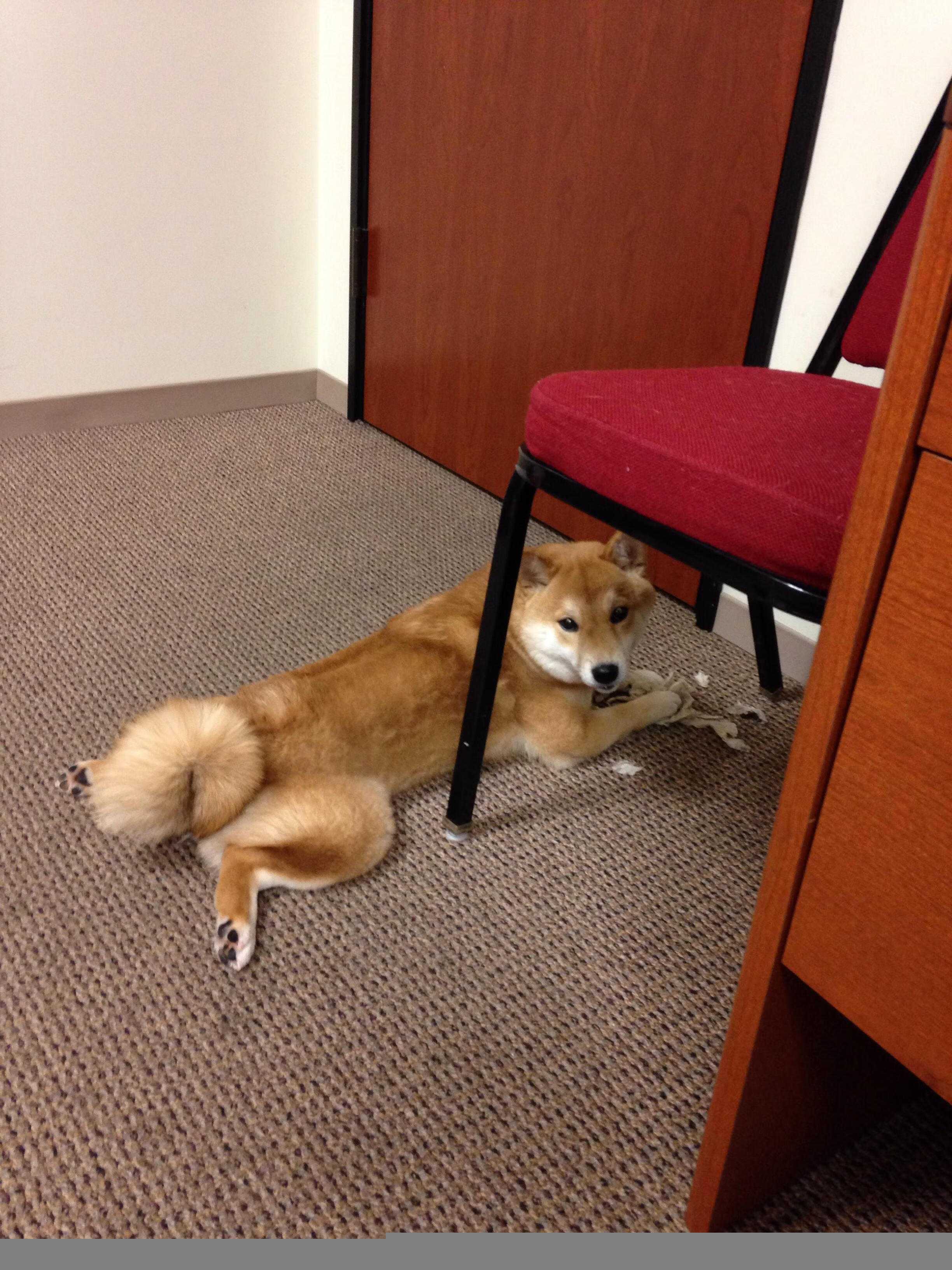 欧洲杯变阵奇兵:战术灵活,精彩不断!,70秒还原欧洲杯惊魂瞬间