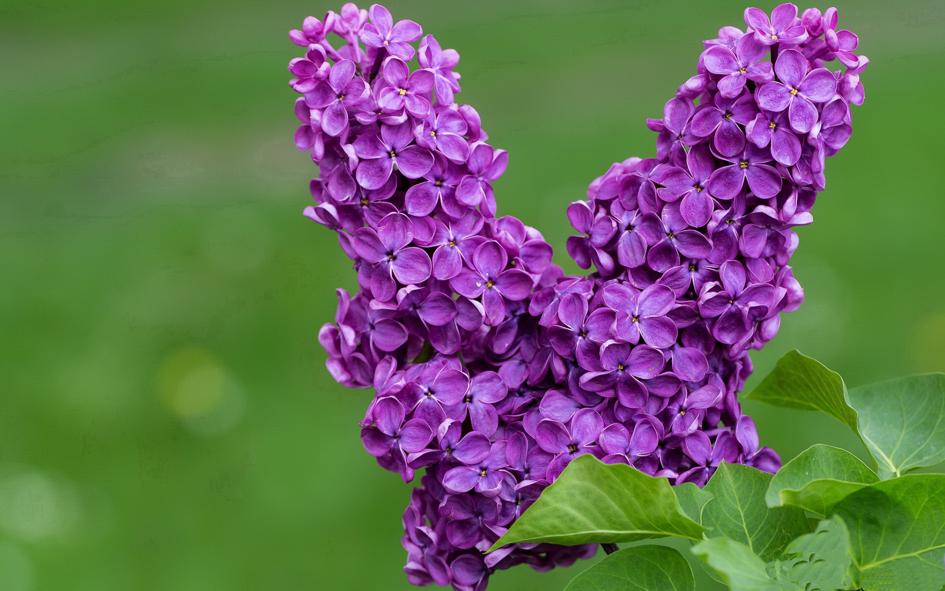 爱游戏体育官方网站-Hernandez 防守硬度赢得教练赞赏